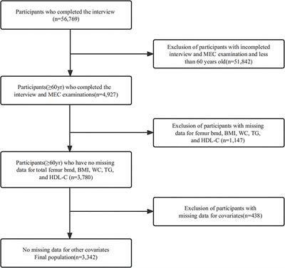 Association of the visceral adiposity index with femur bone mineral density and osteoporosis among the U.S. older adults from NHANES 2005–2020: a cross-sectional study